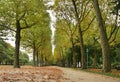 Parc du Cinquantenaire Ã¢â¬â Jubelpark. Brussels. Belgium